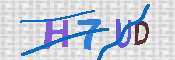 キャプチャ画像