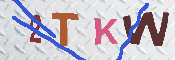 キャプチャ画像