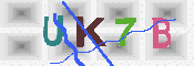 キャプチャ画像