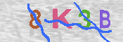 キャプチャ画像