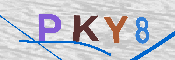 キャプチャ画像
