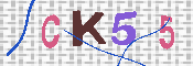 キャプチャ画像