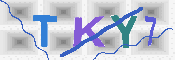 キャプチャ画像