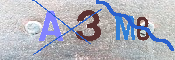キャプチャ画像