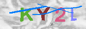 キャプチャ画像