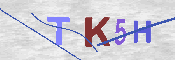 キャプチャ画像