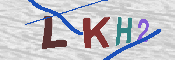 キャプチャ画像