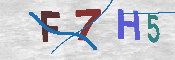 キャプチャ画像