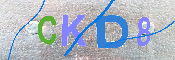 キャプチャ画像